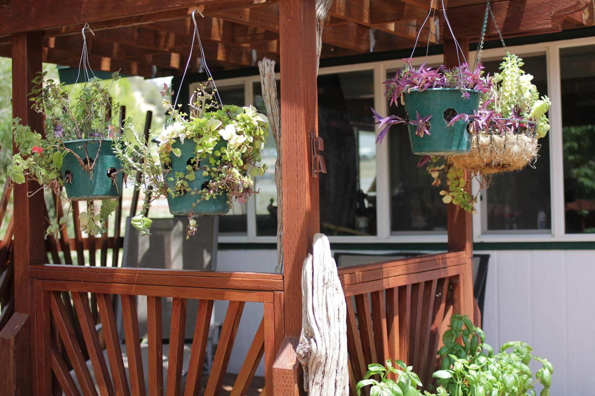 Historic Smith Hotel B&B Glendale Esterno foto